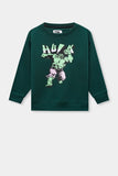 Hulk Graphic Boys sweatshirt