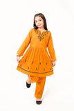 2 Pcs Embroidered Suit