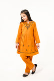 2 Pcs Embroidered Suit