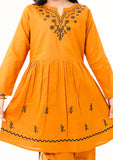 2 Pcs Embroidered Suit