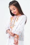 2 Pcs Embroidered Suit