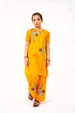 2 Pcs Embroidered Suit