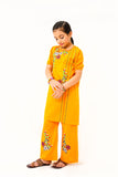 2 Pcs Embroidered Suit