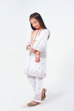 2 Pcs Embroidered Suit