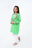 2 Pcs Embroidered Suit