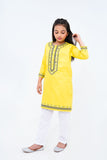 2 Pcs Embroidered Suit