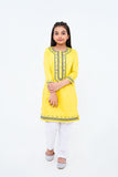 2 Pcs Embroidered Suit
