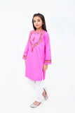 2 Pcs Embroidered Suit