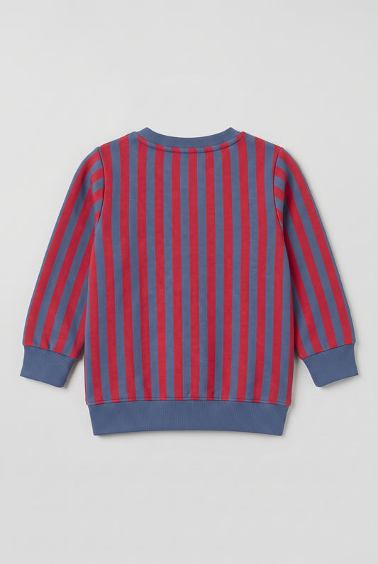 Verticle Stripe Sweatshirt