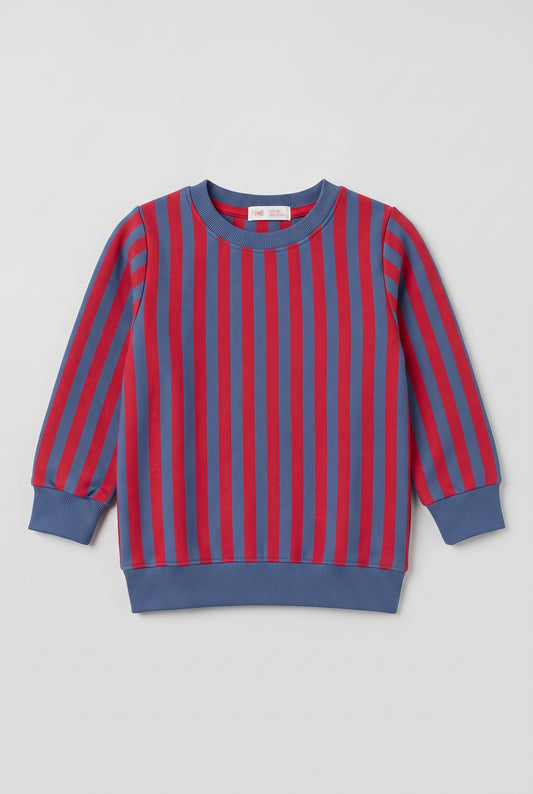 Verticle Stripe Sweatshirt