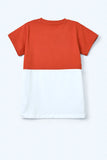 Color Blocking Boys T-shirt