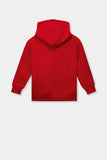 Avengers Boys Hoodie
