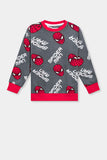 Spiderman Printed Boys Sweatshirt