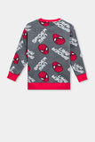 Spiderman Printed Boys Sweatshirt