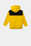Trendy Boys Hoodie