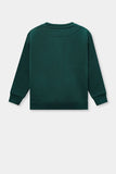 Hulk Graphic Boys sweatshirt