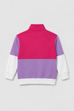 Colorblock Half-Zip  Sweatshirt